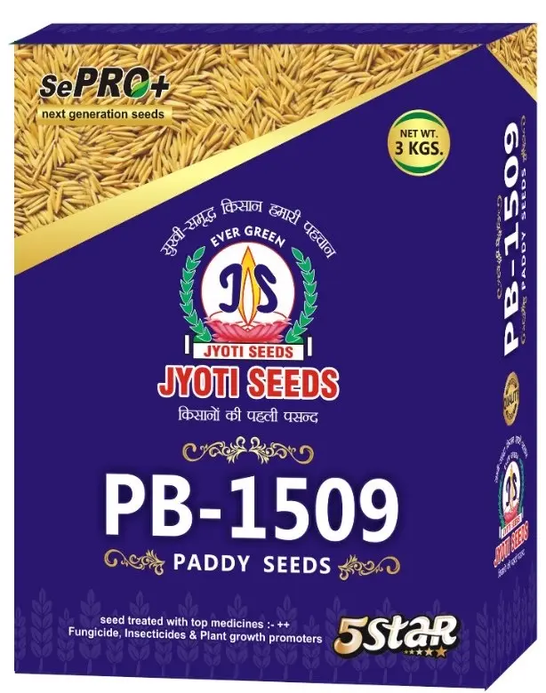1509 JYOTI PADDY SEED