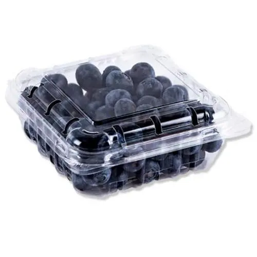 BLUEBERRY 1BOX