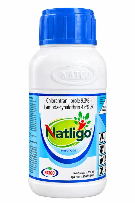 NATLIGO