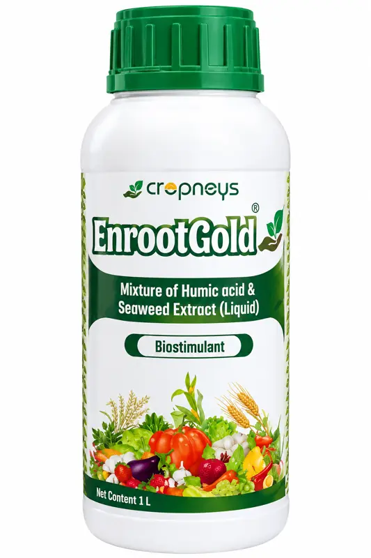 EnrootGold