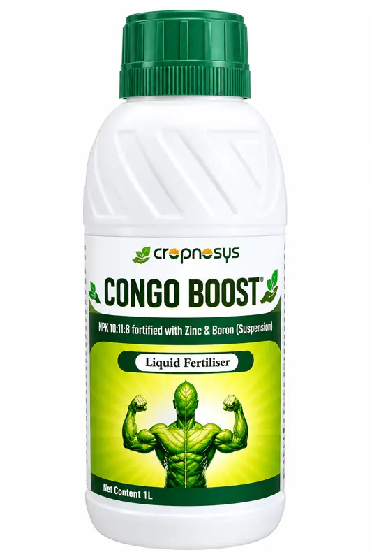 CONGO BOOST