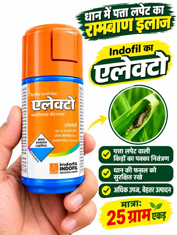 INDOFIL ELACTO