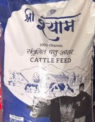 SHREE SHYAM- BLUE BAG BY MANJEET BHAINSWAL
