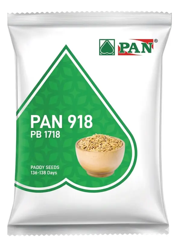 1718 PAN PADDY SEED
