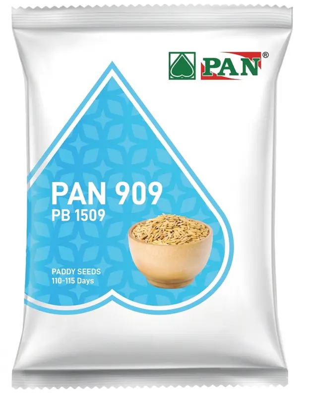 1509 PAN PADDY SEED