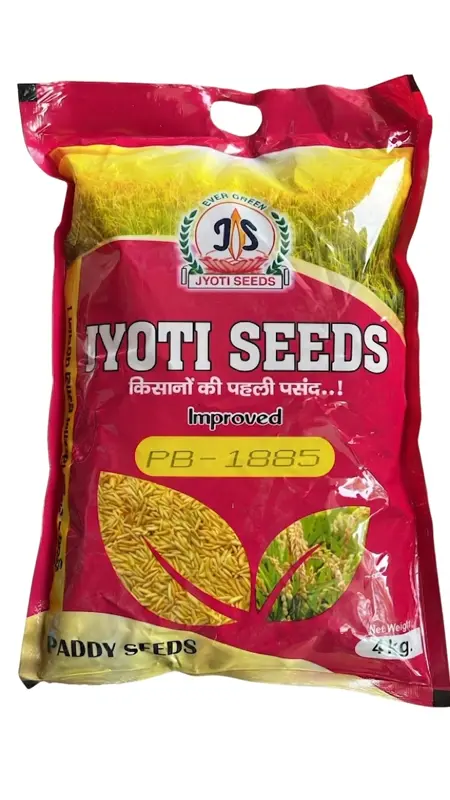 1885 JYOTI PADDY SEED
