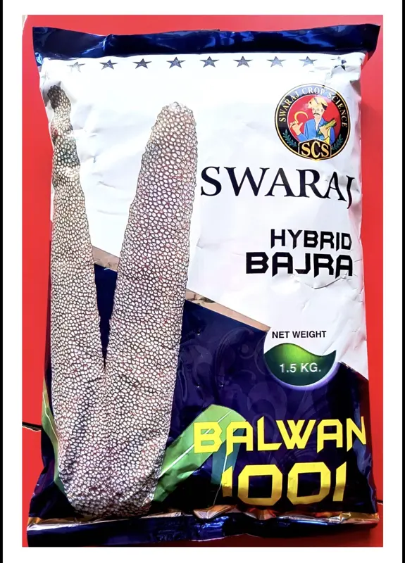 SWARAJ BALWAN 1001 HYBRID BAJRA