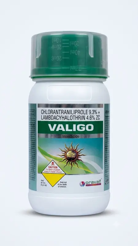 VALIGO