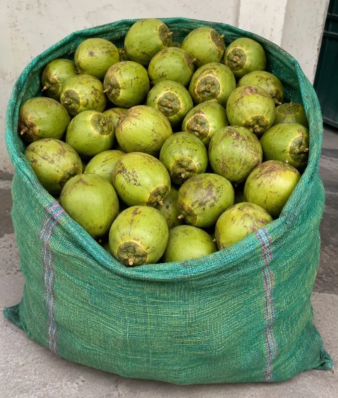 COCONUT WATER BAG