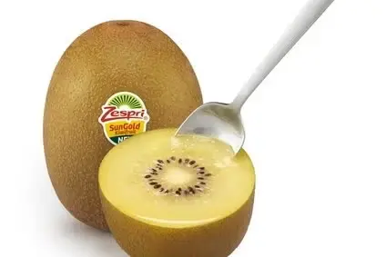 ZESPRI GOLD KIWI