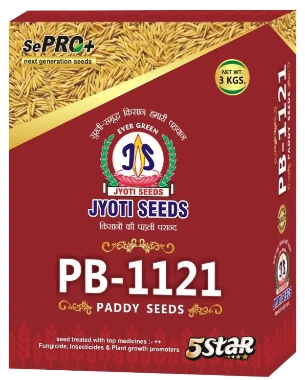 1121 JYOTI PADDY SEED