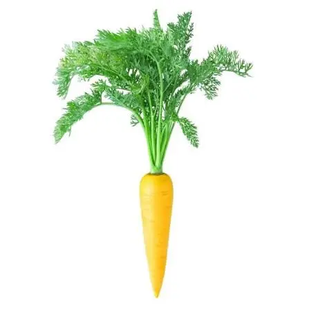 YELLOW GAJAR