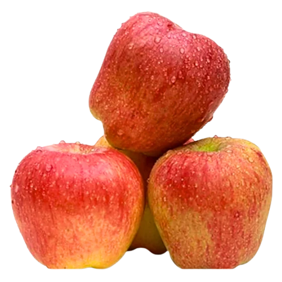 APPLE - KASHMIR