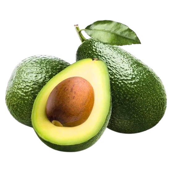 AVOCADO