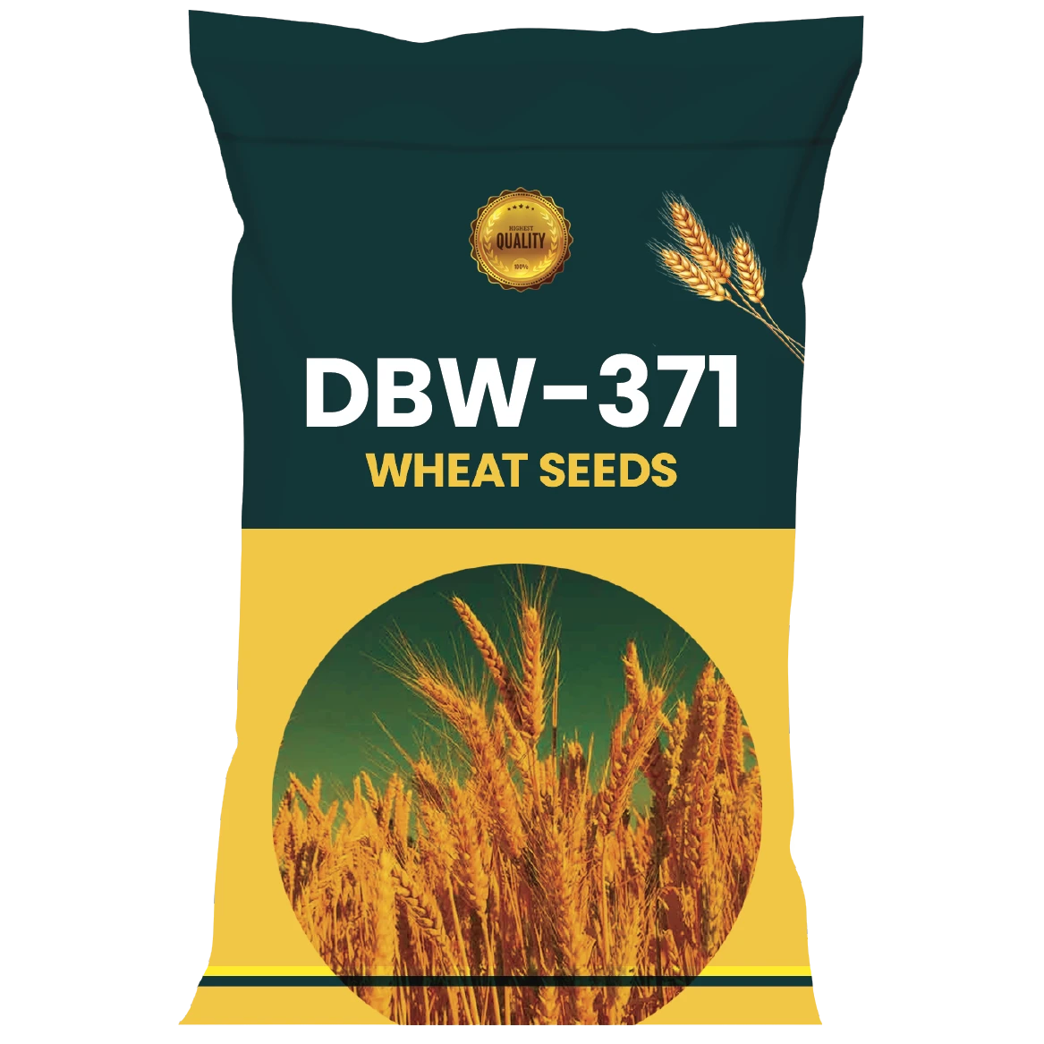 WHEAT SEEDS VARIETY DBW-371
