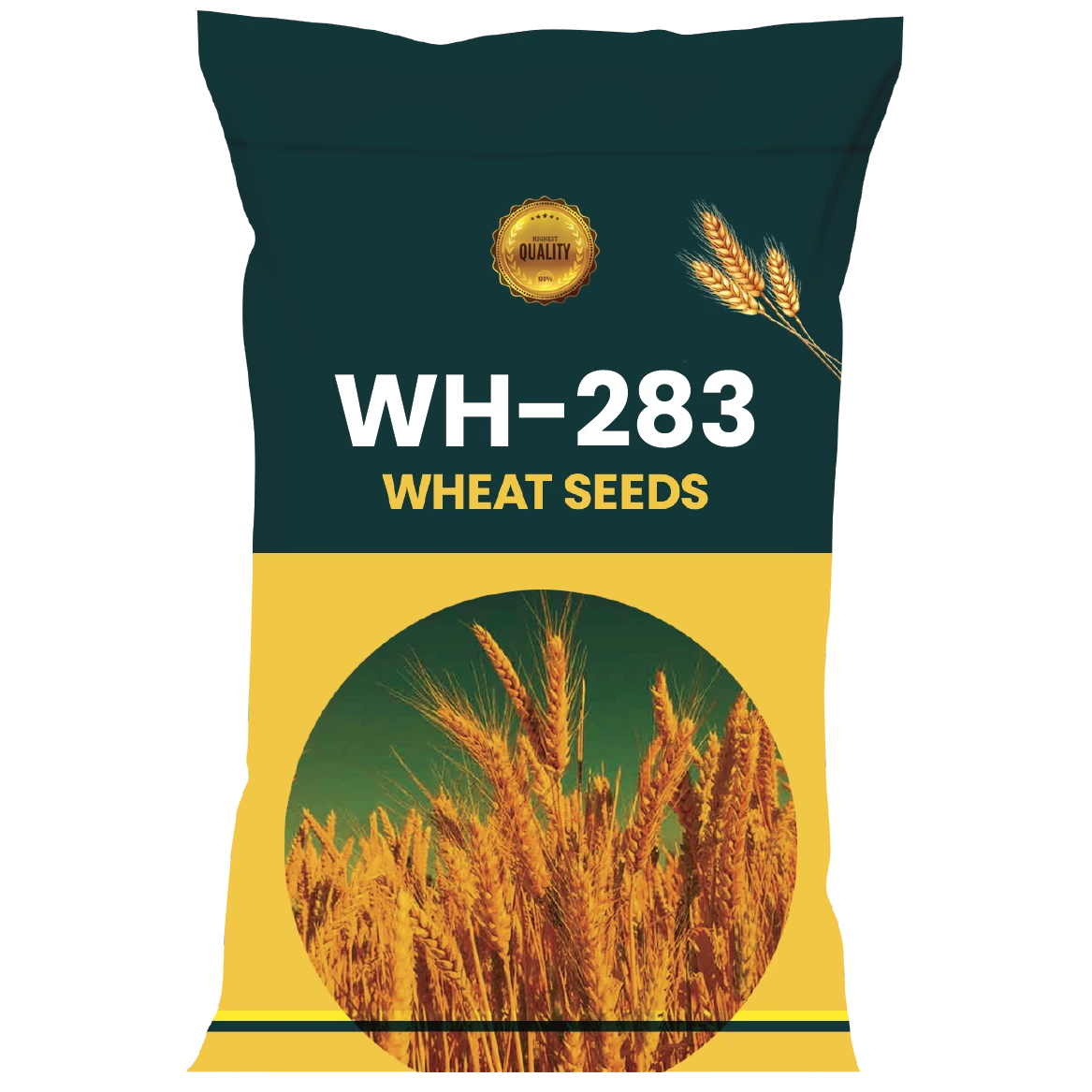 WHEAT SEEDS VARIETY WH-283