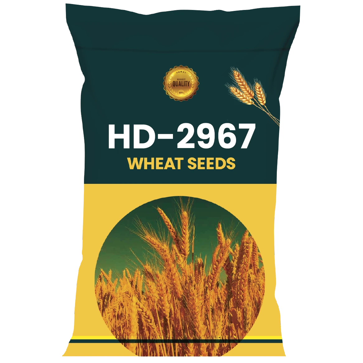WHEAT SEEDS VARIETY-HD-2967