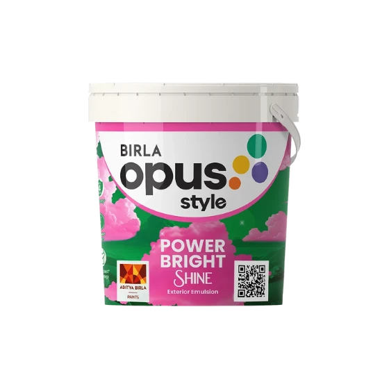 PAINT STYLE POWER BRIGHT SHINE 4L