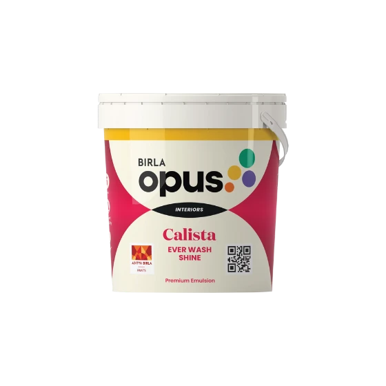 PAINT CALISTA EVER WASH SHINE 10L