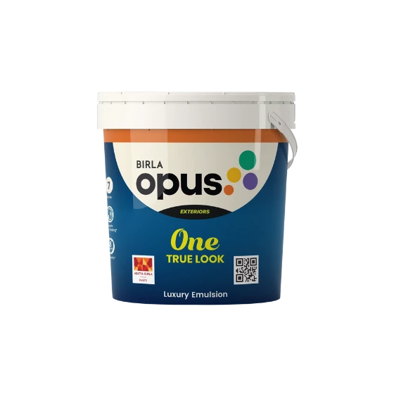 ONE TRUE LOOK PAINT 4L