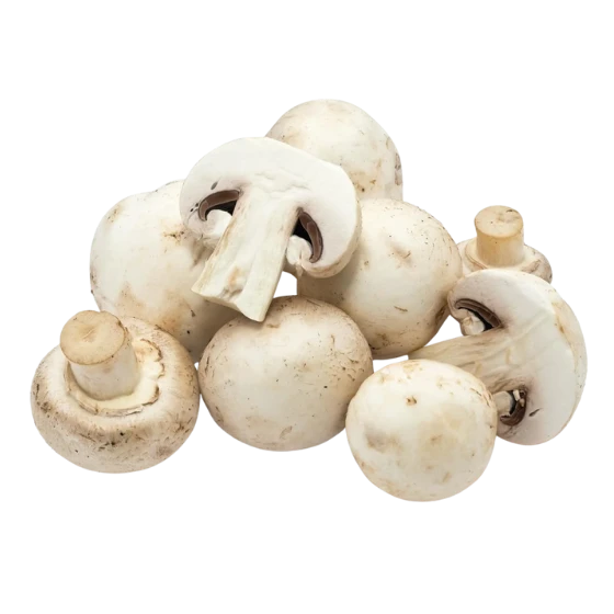 FRESH MUSHROOM