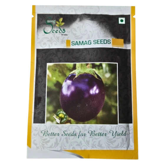BAINGON SEEDS