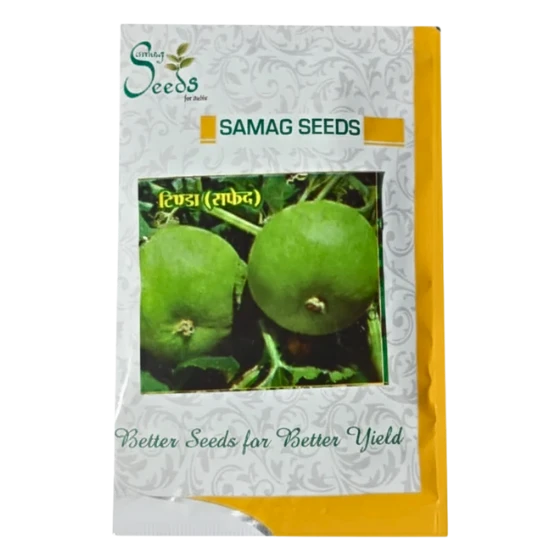 TINDA SEEDS
