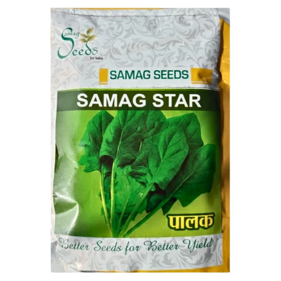 PALAK SEEDS