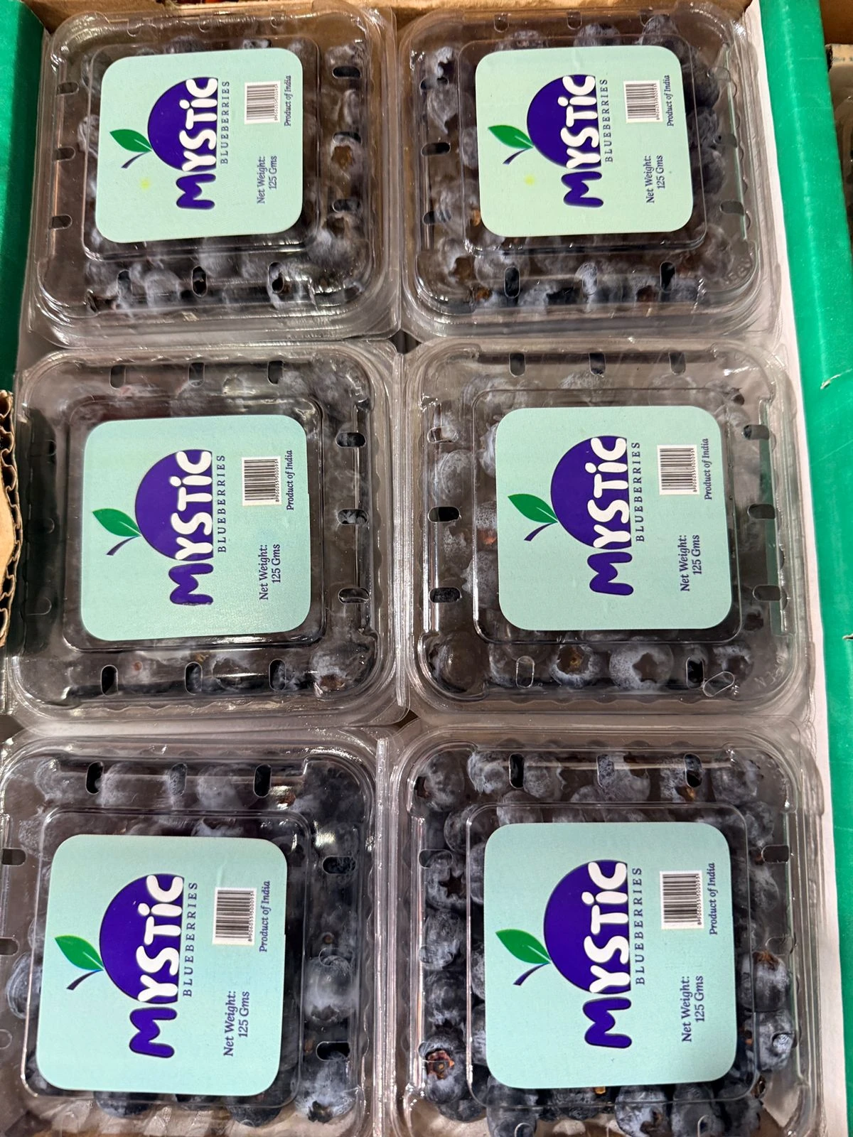 BLUEBERRIES SMALL (PACK OF 6)