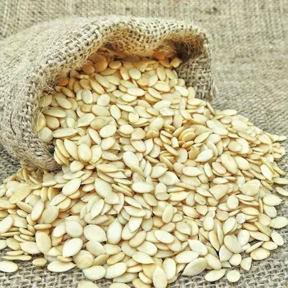 PUMPKIN SEEDS (MAGAJ)