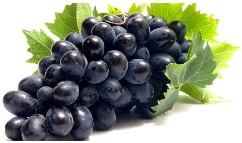 BLACK GRAPE