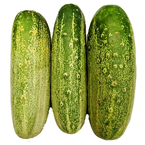 DESI KHEERA