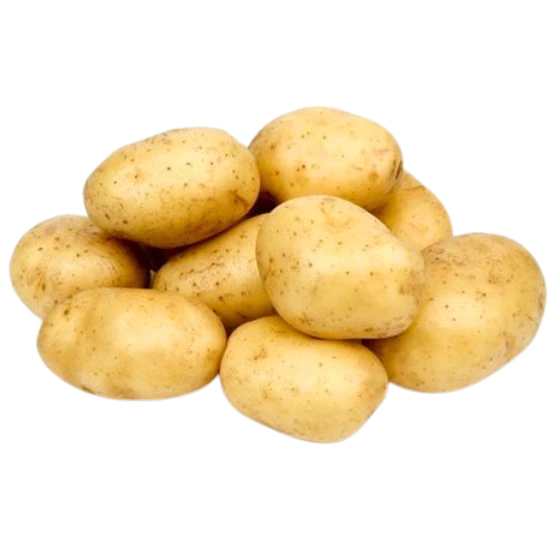 AALU- NAYA